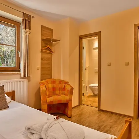 Panoramahotel Grobauer 3* シュピーゲラウ