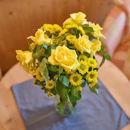 Panoramahotel Grobauer